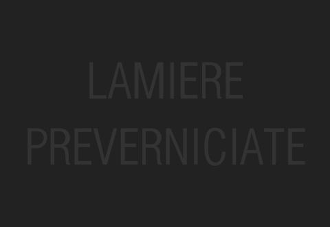 Lamiere Preverniciate